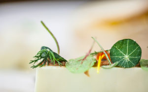 Specials Digital Athens